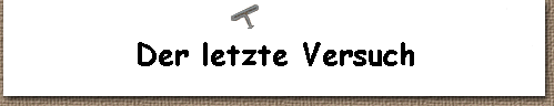  Der letzte Versuch 